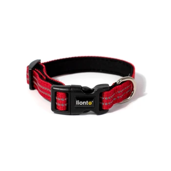 Rotes verstellbares Nylon-Hundehalsband mit schwarzem Kunststoffverschluss mit der Aufschrift 'lionto' und Metall-D-Ring vor weißem Hintergrund.