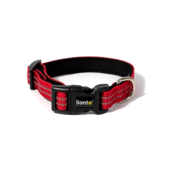 Rotes verstellbares Nylon-Hundehalsband mit schwarzem Kunststoffverschluss mit der Aufschrift 'lionto' und Metall-D-Ring vor weißem Hintergrund.