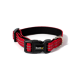 Rotes verstellbares Nylon-Hundehalsband mit schwarzem Kunststoffverschluss mit der Aufschrift 'lionto' und Metall-D-Ring vor weißem Hintergrund.