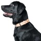 Halsband Trino 45 cm