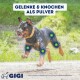 Hunde Gelenke & Knochen Pulver 1,04 kg