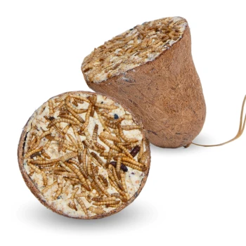 Futterglocke mit Mehlwürmern 8 Stück Nahaufnahme von zwei runden, braunen Haustierfutterleckerlis aus einem natürlichen Material, gefüllt mit Mehlwürmern und anderen Zutaten.