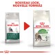 Deux sacs de nourriture pour chats Royal Canin étiquetés "OUTDOOR +7 ans" et "Active Life OUTDOOR 7+", avec le texte "NOUVEAU LOOK, NOUVELLE FORMULE".