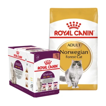 Emballage de nourriture pour animaux Royal Canin présentant un sac de nourriture sèche "Adult Norwegian Forest Cat" et une boîte de nourriture humide "Sensory", avec une image de chat.