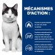 Chat noir et blanc avec collier bleu à côté d'un panneau bleu indiquant « MÉCANISMES D'ACTION : » avec des icônes sur la combustion des graisses et les oméga‑3