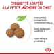 Croquettes pour chiots : trois croquettes brunes, avec mention d'antioxydants naturels, sans colorants ni arômes artificiels.