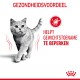 Grijze kat die loopt met een gezondheidslabel dat zegt 'Helpt gewichtstoename te beperken' en een kcal-pictogram.