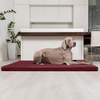 Ein großer grauer Hund, der auf einem burgunderfarbenen Hundebett in einer modernen Küche mit weißen Schränken und einer Holzarbeitsplatte entspannt.