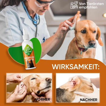 Tierarzt reinigt das Ohr eines Hundes mit einem Baviette-Ohrenpflege-Spray; sichtbare Texte: „Von Tierärzten empfohlen“, „WIRKSAMKEIT:“, „VORHER“, „NACHHER“.