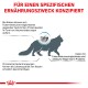 Infografik über Katzenfutterunverträglichkeiten, die Hautveränderungen und Verdauungsprobleme hervorhebt, mit Text auf Deutsch, der spezifische diätetische Bedürfnisse betont.