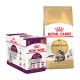 Produits alimentaires pour chats Royal Canin, comprenant une boîte de 12 sachets étiquetés "Sensory" et un sac de formule "Maine Coon Adult".