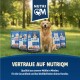 Golden Retriever sitzt auf Gras mit NutriQM Hundefuttertüten und Logo, deutscher Text zur Förderung der Hundegesundheit.