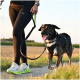 Person führt einen fröhlichen schwarz-weißen Hund im Geschirr an einer Leine mit grünem Griff; trägt Puma-Leggings und Nike-Schuhe