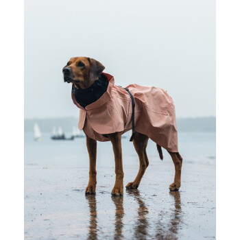 Brauner Hund in einem rosa Regenmantel, der an einem nassen Strand steht, Spiegelung in einer Pfütze, Segelboote am Horizont unscharf.