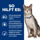 Graue Katze mit blauem Halsband; blaues Feld mit der Überschrift 'SO HILFT ES:' und deutschem Text über Nieren, Mikrobiom und Muskulatur.
