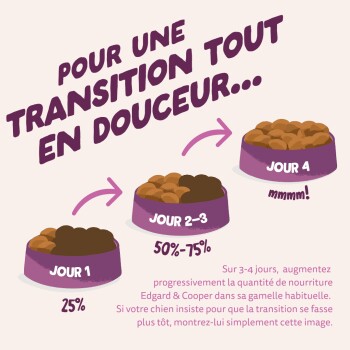 Titre «Pour une transition tout en douceur...» au-dessus de bols étiquetés «Jour 1 25%», «Jour 2–3 50–75%», «Jour 4 mmmm!»