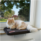 Eine flauschige orange-weiße Katze, die friedlich auf einer braunen Fensterbank ruht, mit Blick auf grüne Bäume draußen.