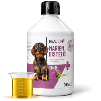 Flasche mit REAVET Marien Distelöl für den Stoffwechsel und die Leberfunktion, mit einem Hund auf dem Etikett und einem Messbecher mit Öl.