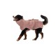 Ein glücklicher Berner Sennenhund trägt einen weichen rosa Bademantel und läuft vor einem weißen Hintergrund.
