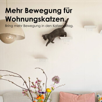 Eine graue getigerte Katze streckt sich über zwei wandmontierte Regale, mit dem Text "Mehr Bewegung" und "Spielend leicht von A nach B" darüber.