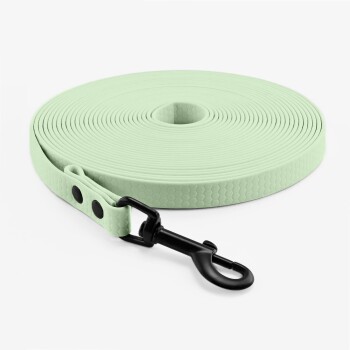Schleppleine Mint 10 m