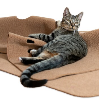 Eine entspannte getigerte Katze, die auf einer weichen, braunen Decke liegt, mit eingekringeltem Schwanz und Pfoten, die auf dem Stoff ruhen.