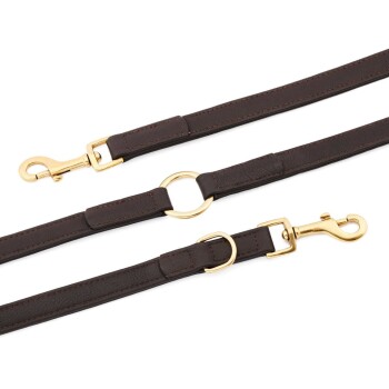 Braune Leder-Hundeleine mit goldenen Metallclips und Ringen, die ein elegantes Design und eine robuste Konstruktion zeigt.
