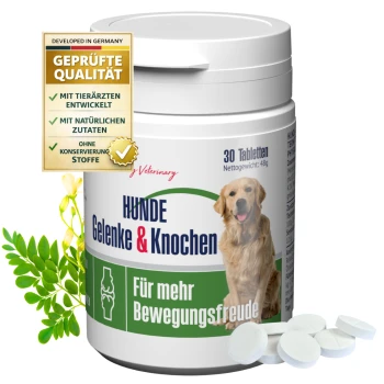 Behälter mit GIGI-Hundegelenktabletten mit einem Golden Retriever-Etikett, das "HUNDE Gelenke & Knochen" und "Für mehr Bewegungsfreude" liest.
