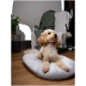 Ein flauschiger Hund sitzt auf einem plüschigen grauen Haustierbett, mit einem gemütlichen Stuhl und einer Pflanze im Hintergrund, was eine warme Innenatmosphäre schafft.