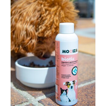 Eine Flasche Mooiza biotischer Probiotika für Haustiere, gekennzeichnet für Verdauung und Darmbalance, neben einem Hund, der aus einer Schüssel frisst.