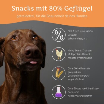 Gesunde Snacks mit 80% Geflügel, getreidefrei, ohne künstliche Farb- und Konservierungsstoffe. Enthält Huhn, Ente & Truthahn.