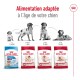 Medium Adulte Croquettes Chien 15+3 kg gratuite