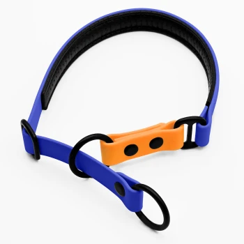 Ein blaues und oranges verstellbares Haustierhalsband mit schwarzen Akzenten und Metallringen, entworfen für Komfort und Haltbarkeit.