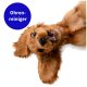 Ein verspielter golden cocker spaniel liegt auf dem Kopf, schaut in die Kamera, mit einem blauen Kreis, der in der Ecke mit "Ohrenreiniger" beschriftet ist.