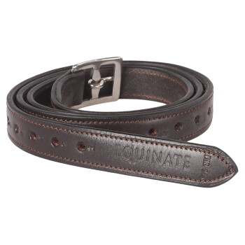 Ein dunkelbraunes Lederhalsband für Haustiere mit einer silbernen Schnalle, mit Nähten und Löchern zur Anpassung, beschriftet mit "EQUINATE."