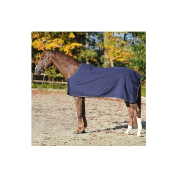 Ein braunes Pferd, das eine marineblaue Decke trägt, steht auf einer sandigen Fläche mit herbstlichem Laub im Hintergrund.