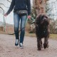 Person führt einen großen schwarzen Hund an einer blau gemusterten Leine im Freien auf einem Kiesweg.