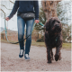 Person führt einen großen schwarzen Hund an einer blau gemusterten Leine im Freien auf einem Kiesweg.