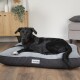 Ein schwarzer Hund liegt bequem auf einem grauen und schwarzen Haustierbett mit der Aufschrift "Scruffs" in einem modernen Wohnzimmer mit Holzmöbeln und Pflanzen.