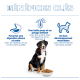 Schwarzer Hund mit Futterschale unter der Überschrift 'BÉNÉFICES CLÉS'; französische Beschriftungen: digestion, pelage brillant, musculaire.