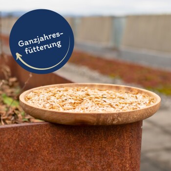 Eine hölzerne Schüssel voller Haustierfutter steht auf einer rostigen Oberfläche, mit einem runden blauen Etikett darüber, das 'Ganzjahresfütterung' liest.