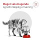Hund frisst aus einer roten Schale; sichtbarer Text: 'Meget velsmagende og letfordøjelig ernæring' und Abzeichen 'Veterinary Nutrition'.