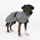 Ein Hund in einem grauen wasserdichten Regenmantel mit schwarzen Riemen, steht auf einem weißen Hintergrund.