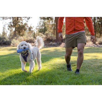 Ein flauschiger weißer Hund mit einem blauen Spielzeug im Mund läuft auf eine Person in einer orangefarbenen Jacke und Shorts auf einem Rasenfeld zu.