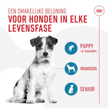 Een schattige hond zit prominent, met tekst die zegt 'Een smakelijke beloning voor honden in elke levensfase' en iconen voor puppy's, volwassen en senior honden.