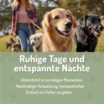 Verpackung von ALPHAZOO Care Seelenruhe, einer beruhigenden Tablette für Hunde, mit Text, der Vorteile wie 'innere Ruhe' und 'regional produziert' hervorhebt.