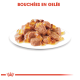 Bouchées en gelée, une assiette de morceaux de viande humides enrobés de gélatine pour animaux de compagnie, présentée sur une assiette blanche avec un logo de couronne rouge.