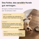 Milo & Mia Haustierfutter-Anzeige mit deutschem Text: "Glutenfrei ohne Weizen," "Ohne Zucker," "Frei von Zusatzstoffen," mit Lachs, Tomaten und Reis.