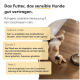 Milo & Mia Haustierfutter-Anzeige mit deutschem Text: "Glutenfrei ohne Weizen," "Ohne Zucker," "Frei von Zusatzstoffen," mit Lachs, Tomaten und Reis.