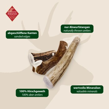Drei geschliffene Hirschgeweihe beschriftet: "100% Hirschgeweih," "nur Abwurfstangen," und "wertvolle Mineralien."